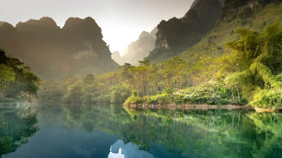 高效高标准